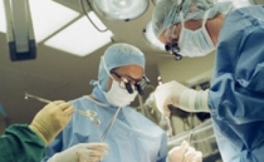Studiuesit krijojnë një zemër bio-artificiale në laborator
