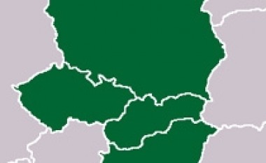 Vishegradi me forcë të përbashkët ushtarake