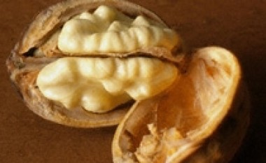Arra për eshtra të shëndoshë