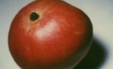 Mango e thatë zgjidhje për hipovitaminozën A