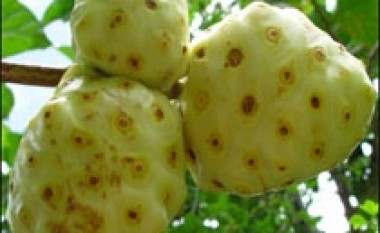 Lëngu nga noni