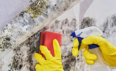 Zgjidhni problemet me mykun në bodrum njëherë e përgjithmonë