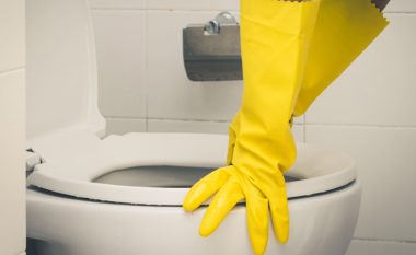 Mjeti nga vetëm tri përbërës për neutralizimin e aromave të pakëndshme në tualet