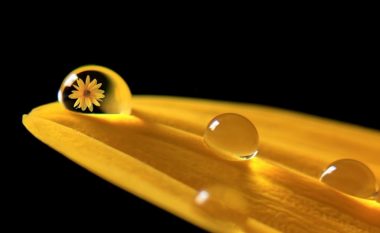 Fotografia e Besnik Hamitit, më e mira në Pixoto