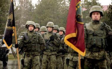 Projektligjet për FSK-në kalojnë në të gjitha komisionet