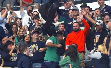 Shqiponja humb kontrollin gjatë një performance në stadium, përfundon në krahun e shikuesit (Video)