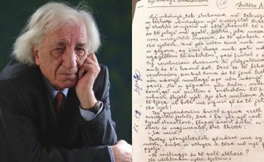 Viti 2000 dhe amaneti që Dritëro Agolli ia la të mbesës për mitingjet
