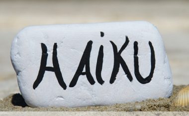Disa mendime për llojin poetik haiku