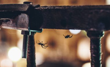 Provoni këtë truk të gjysheve tona i cili në çast i përzë merimangat nga shtëpia