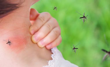 Ky frut do t’i ndjekë përgjithmonë mushkonjat: Vetëm priteni përgjysmë dhe insektet do të largohen përgjithmonë