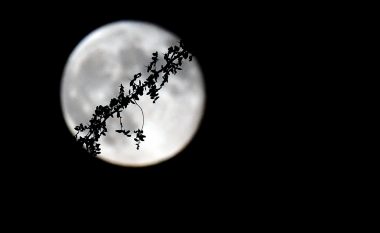Gjatë nëntorit, këto katër shenja të zodiakut do të përballen me situata të vështira