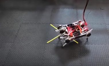 Robotit të vogël iu nevojit vetëm disa orë që të mësoi të ecte vet