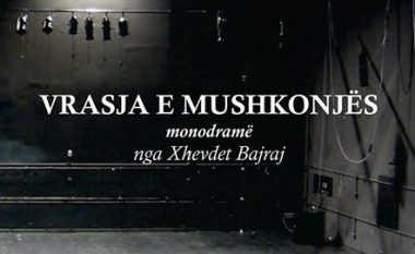 Mos më ngacmo, mushkonjë!