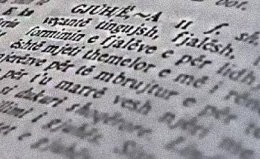 Standardi gjuhësor ndodhet në udhëkryq