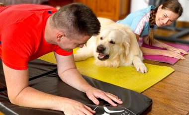 Stërvitja më qesharake me Retriever! Të etur për argëtim dhe vëmendje, dhe kjo video e vërteton atë!