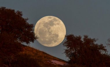 Hëna e re e janarit do të sjellë ndryshime të mëdha për këto katër shenja të horoskopit