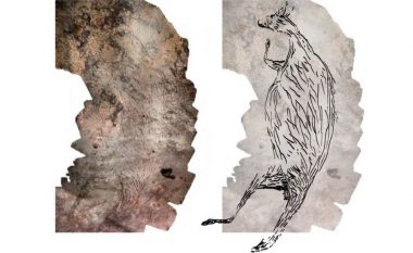 Në Australi zbulohet vepra më e vjetër e artit të gdhendur në shkëmb
