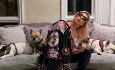 Ka disa arsye pse bulldogët francezë (si ata të Lady Gaga-s) vidhen kaq shpesh