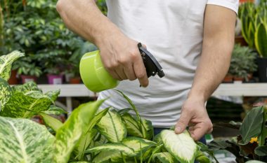 Truku i kopshtarëve me përvojë: Rikuperoni bimët dhe mbroni ato nga dëmtuesit me ndihmën e uthullës!
