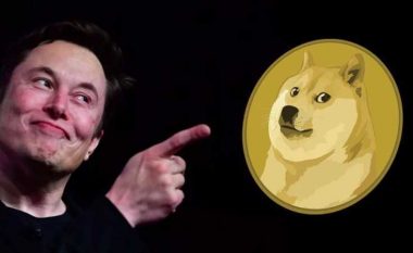 Elon Musk: Dogecoin mund të jetë e ardhmja