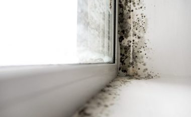 Parandalimi i mykut duke kontrolluar temperaturën në shtëpi