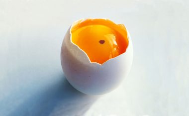 A janë të sigurta për ngrënie vezët me njolla