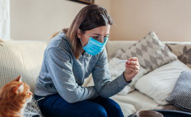 Macet që flenë në shtratin e pronarit janë në rrezik të infektohen me coronavirus, thonë ekspertët