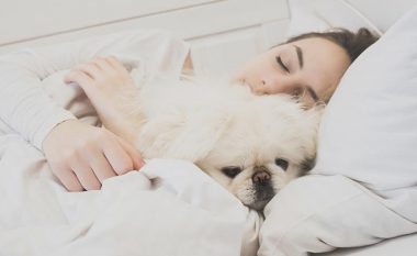 Studentët që përqafohen me qentë janë më pak të stresuar, zbulon studimi