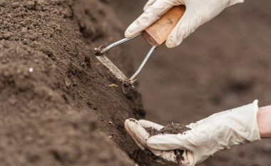 Një arsye e zakonshme pse bimët në kopsht nuk mbijnë ose thahen: Kontrolloni nëse dheu është alkalinë ose acid!
