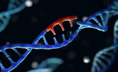 FDA-ja miraton hulumtimin e parë në njerëz për kurimin e mundshëm të HIV-it nën drejtimin e CRISPR-it