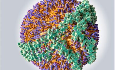 Studimi i ri identifikon shkakun potencial të sëmundjes së Alzheimerit dhe si ta shmangni atë