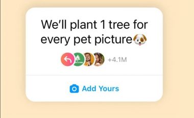 Kush qëndron pas trendit viral në Instagram për mbjelljen e pemëve, dhe a do të realizohet premtimi i dhënë?