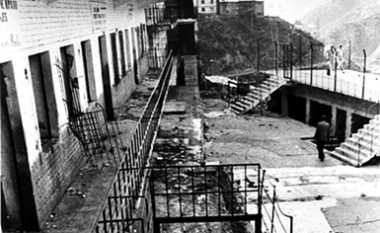 Viti 1951: Turqizimi i shqiptarëve në Kosovë dhe vrasjet e intelektualëve në Shqipëri