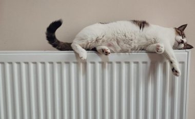 Ekspertët paralajmërojnë: Nëse pastroni radiatorin me këtë mjet, rrezikoni të shpërthejë!