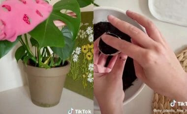 Tre artikuj që mund t’i ripërdorni në shtëpi – njëri prej tyre madje ju ndihmon të pastroni