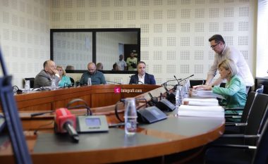 Komisionet Hetimore parlamentare për energji kritikohen për mospunë