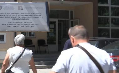 Thirrja për punësim, të papunët të dëshpëruar me institucionet