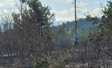 Zjarri në Klinë dëmton shtyllat elektrike, disa fshatra mbesin pa rrymë