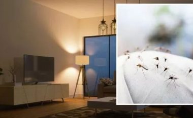 Përdorni ngjyra të caktuara ndriçimi për të ‘zmbrapsur’ mushkonjat nga shtëpitë