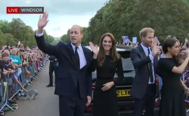 Qeni i ngecur në anën e gabuar të barrierës jashtë Windsor merr vëmendjen e shikuesve televiziv