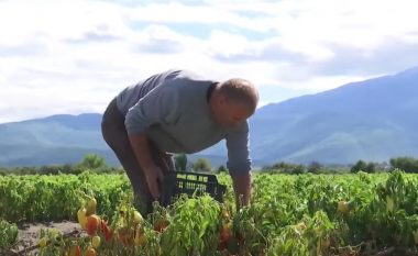 Rahoveci pas vërshimeve, fermerët përfundojnë sezonin akoma pa e filluar