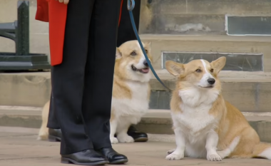 Corgi-t e Mbretëreshës e përshëndesin atë për herë të fundit ndërsa presin në shkallët e Kështjellës Windsor përpara shërbimit të varrimit