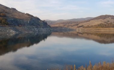 Bie dukshëm niveli i ujit në Liqenin e Badocit