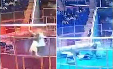 Momenti kur luani sulmon interpretuesin në një cirk në Rusi – ai bashkë me gruan e tij e vazhdojnë shfaqjen sikur s’kishte ndodhur asgjë