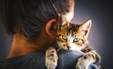 Macet janë ideale për njerëzit që vuajnë nga ankthi