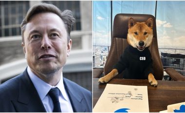 Elon Musk ‘prezanton’ para të gjithëve shefin e ri të Twitter-it
