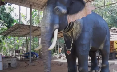 Tempulli indian zëvendëson elefantin me robot për kryerjen e ritualeve
