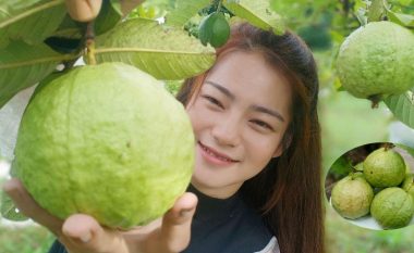 A është kjo fruta më e shëndetshme në botë? Ja çfarë thonë ekspertët dhe çfarë këshillash kanë