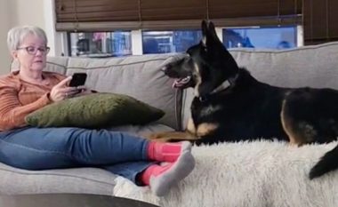 Gjyshja u kthye nga udhëtimi dhe la pas dore kafshën e saj – shikoni se si reagoi qeni