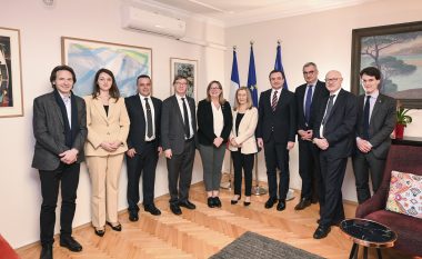 Investimet, energjia e anëtarësimi në organizata ndërkombëtare, Kurti takon delegacionin e Senatit francez